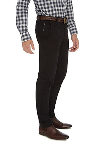 CITY CLUB HAMMOND PLACE FLP007 CHINO - Black