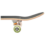 DECA Murphys Cactus Lookin Sharp 8.5 Complete Skateboard
