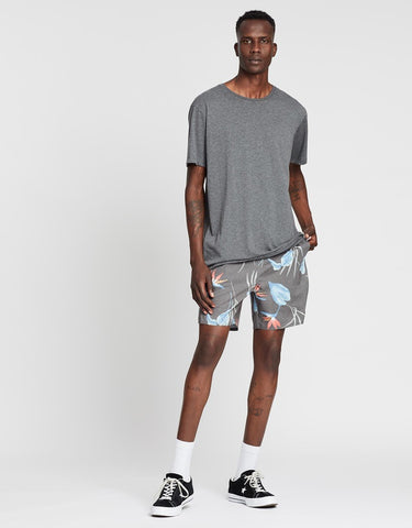 BRIXTON Havana Trunks